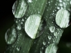 More Drops
