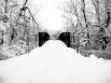 Snowy Crossing